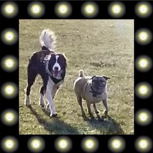 Meet your Posher, Vicki